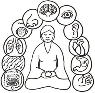 Zen.nl, Zen, meditatie, leren mediteren, voelen, controle, boosheid, privé en werk, coaching, zintuigen, ademhaling, hersenen, lichaam en geest, denken, boeddhisme, goed voelen, afkeer en verlangen, Rients Ritskes, gevoelens, heftige emoties, groeipotentieel, symbool, gevoelsleven, balans, midden, Boeddha, oefening