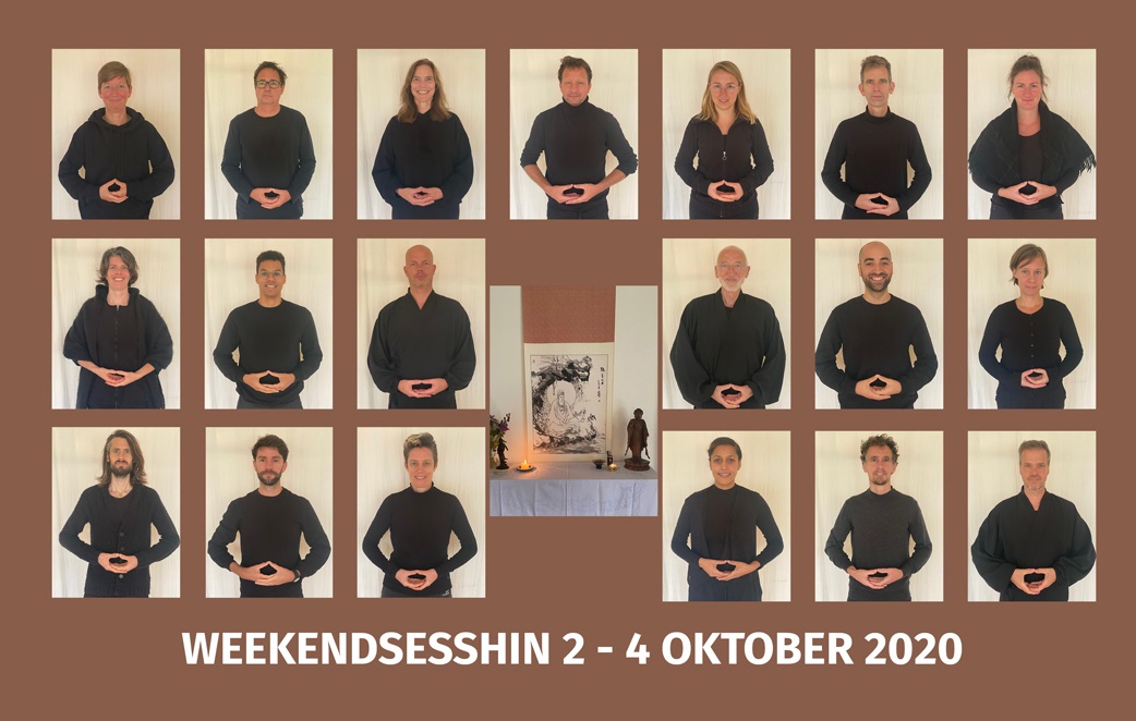 Zen.nl, Zen, meditatie, leren mediteren, moeten, ont-moeten, weekendsesshin, willen, jeugdtrauma, herprogrammeren, onbewust, bubbels, angst, jaloezie, transparant ego