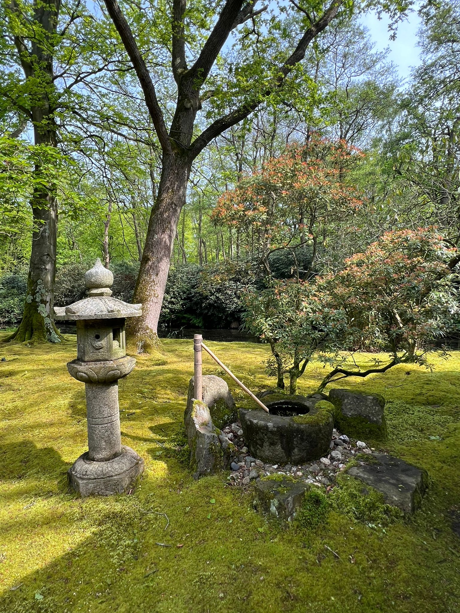 Zen.nl, Zen, meditatie, leren mediteren, Zentuinen, studiereis, Japanse tuin, Clingendael