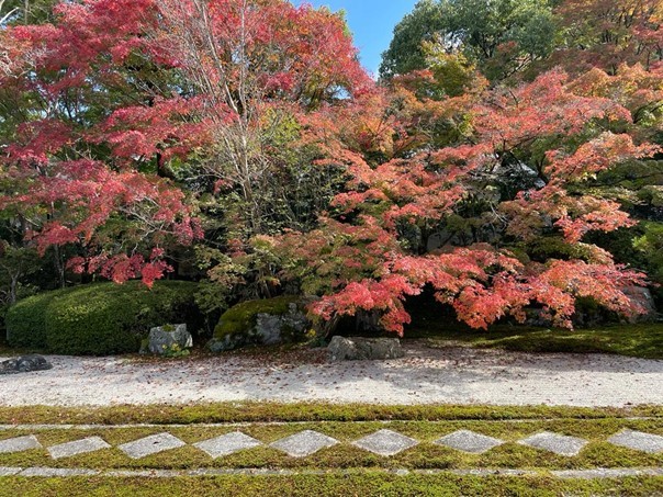 uitzicht op een zentuin met herfstkleuren
