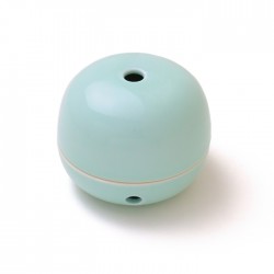 Wierookbrander Miyuki Seiji