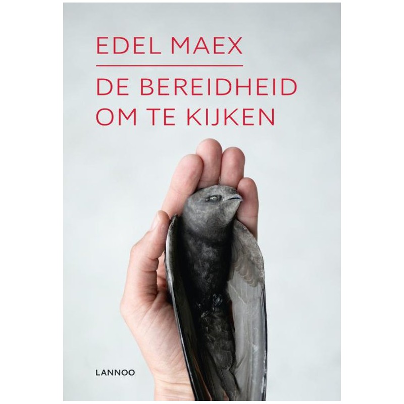 De bereidheid om te kijken De bereidheid om te kijken