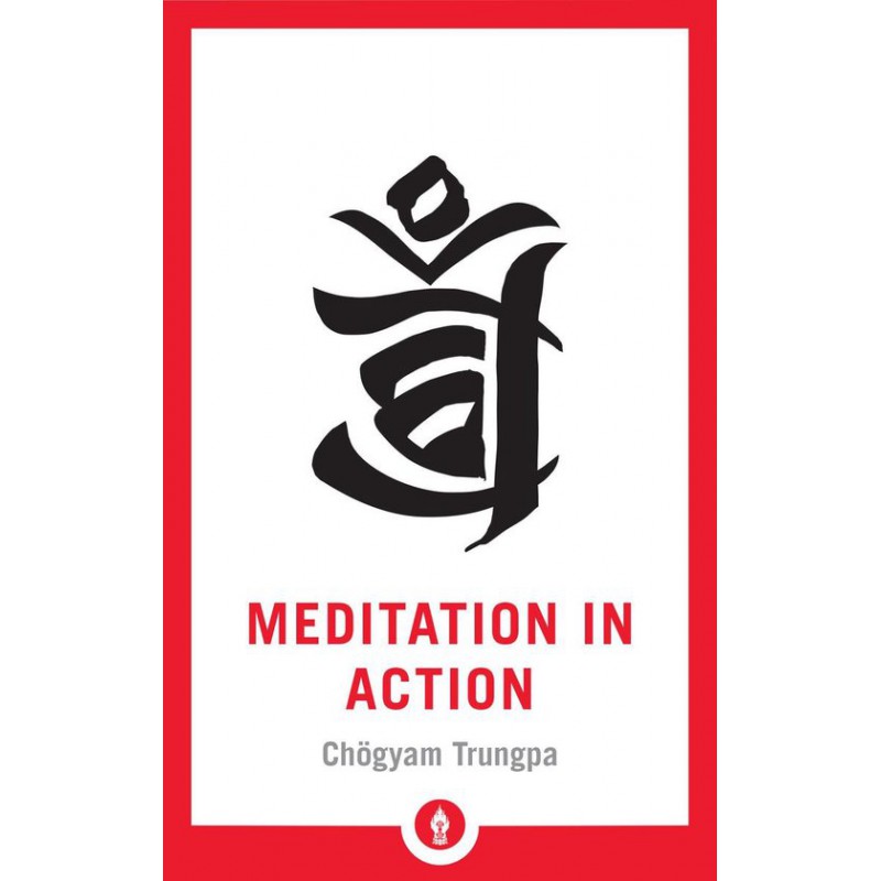 Meditation in Action
