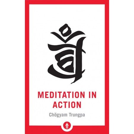 Meditation in Action