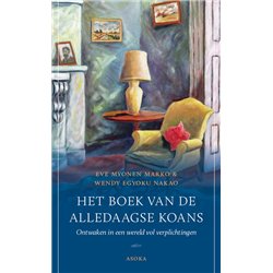 Het boek van de alledaagse koans