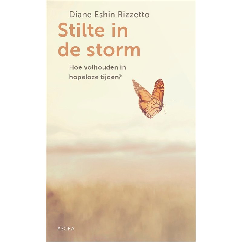 Stilte in de storm
