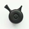 Teapot Iroiro Black Teapot Iroiro Black