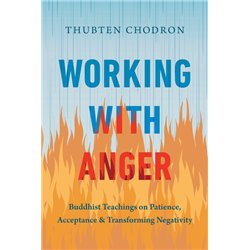Working with anger