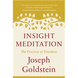 Insight Meditation
