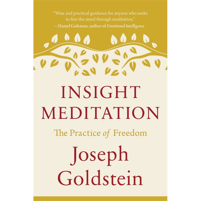 Insight Meditation