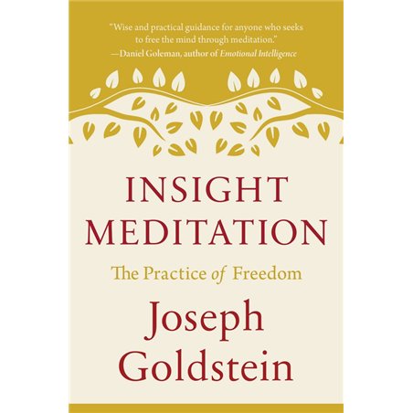 Insight Meditation