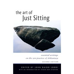 The Art Of Just Sitting